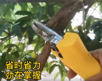 蘭龍鋰電修枝剪新品上市！果農(nóng)修整、嫁接的好幫手！